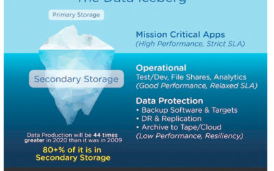 Cohesity – Backup and Recovery Game Changer